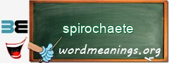 WordMeaning blackboard for spirochaete